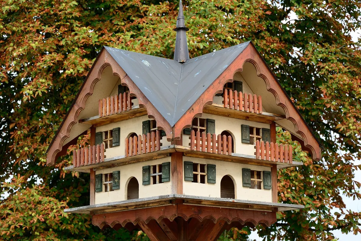 How to Set Up a Bird-Friendly Balcony in a UK Flat: A Step-by-Step Guide